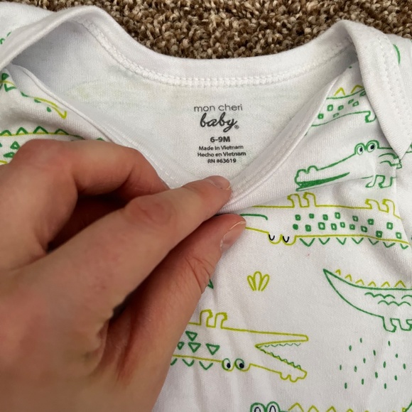 9 Short-Sleeved Baby Onesies from Carter's, Duck Duck Goose, Mon Cheri, 9 Months - Picture 6 of 13
